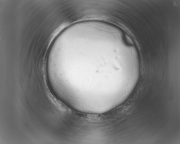 X0000076420907200611031810