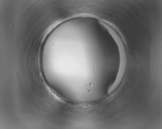 X0000076420910200611031810