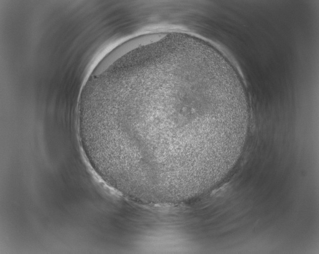 X0000076420911200611031810