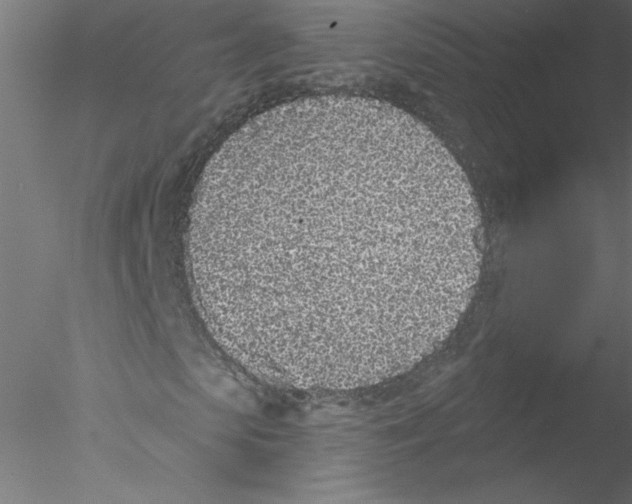 X0000076420913200611031809