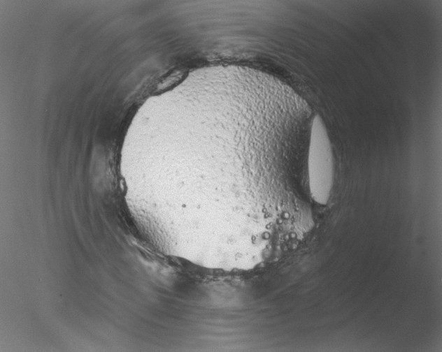 X0000076420915200611031809