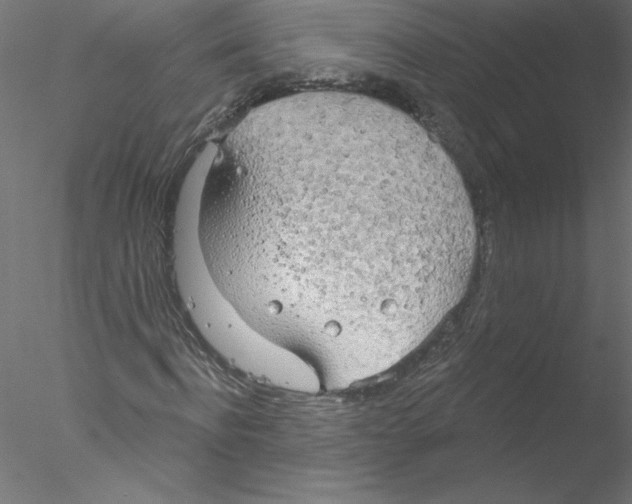 X0000076420916200611031809