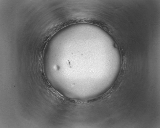 X0000076420917200611031809