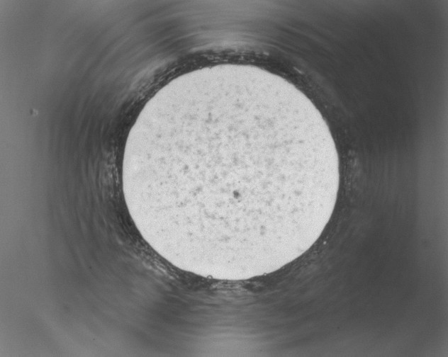 X0000076420918200611031809