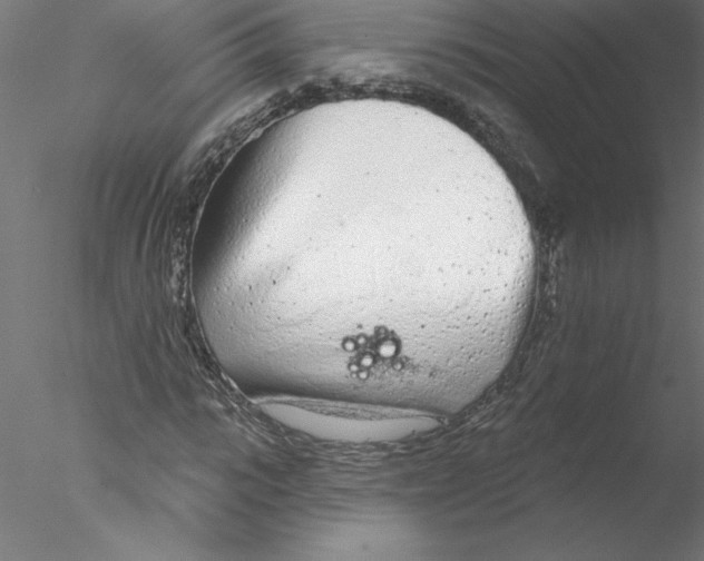 X0000076420919200611031809