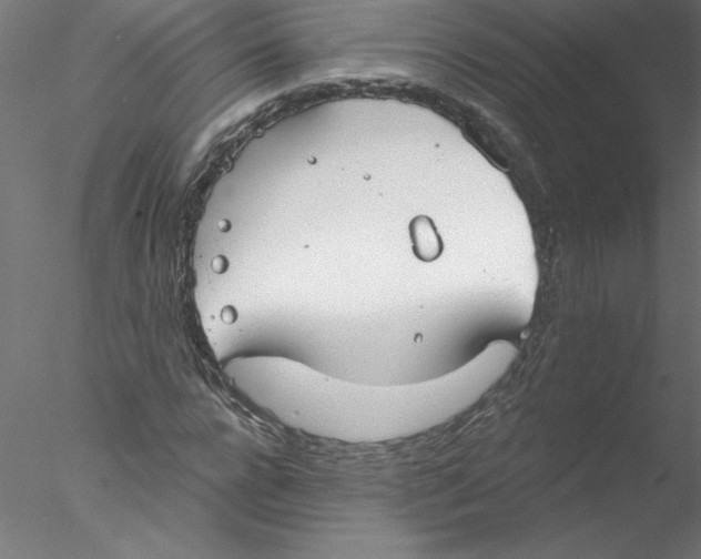 X0000076420920200611031809