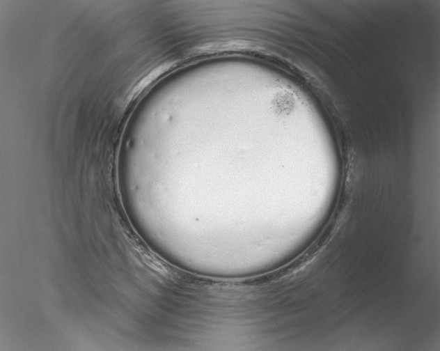 X0000076420921200611031809