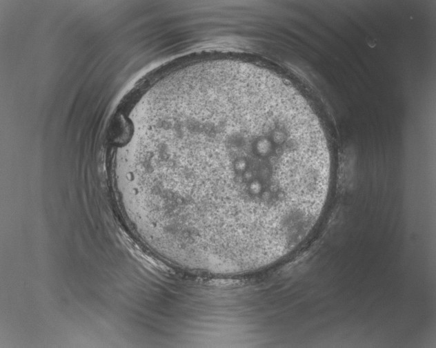 X0000076420923200611031809