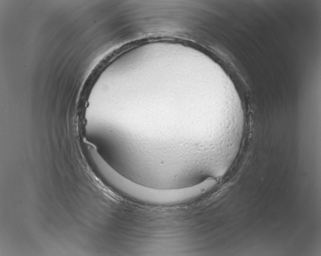 X0000076420924200611031809