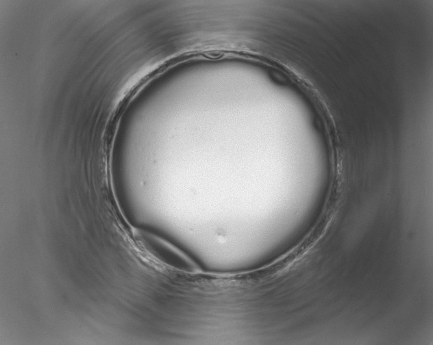 X0000076420925200611031809