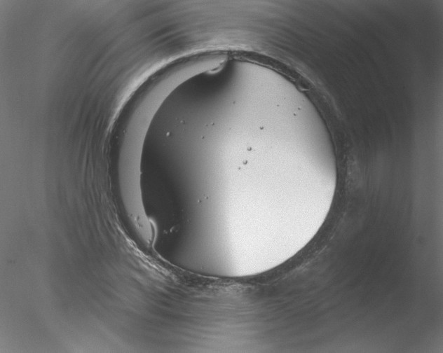 X0000076420926200611031809