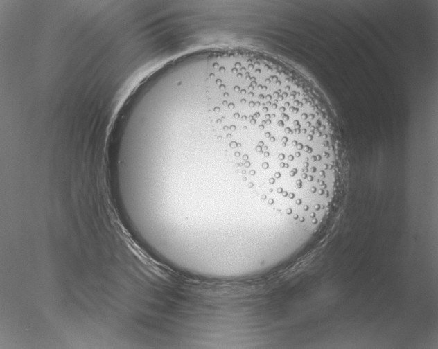 X0000076420927200611031809