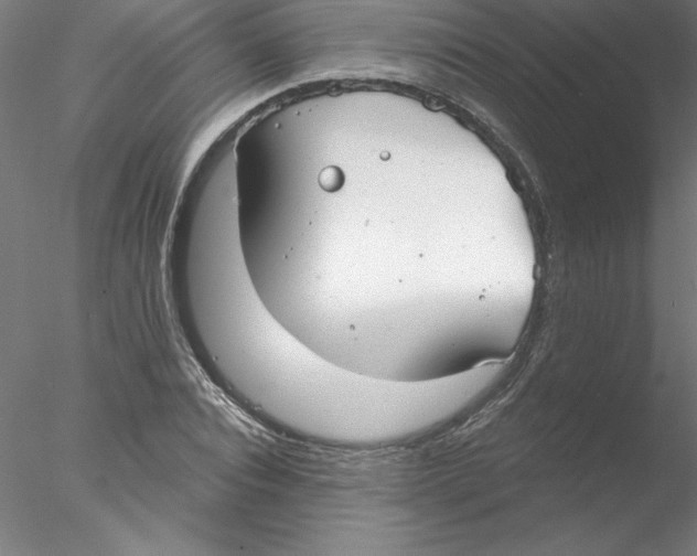 X0000076420928200611031809