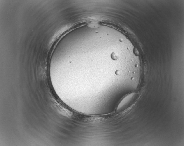 X0000076420930200611031809