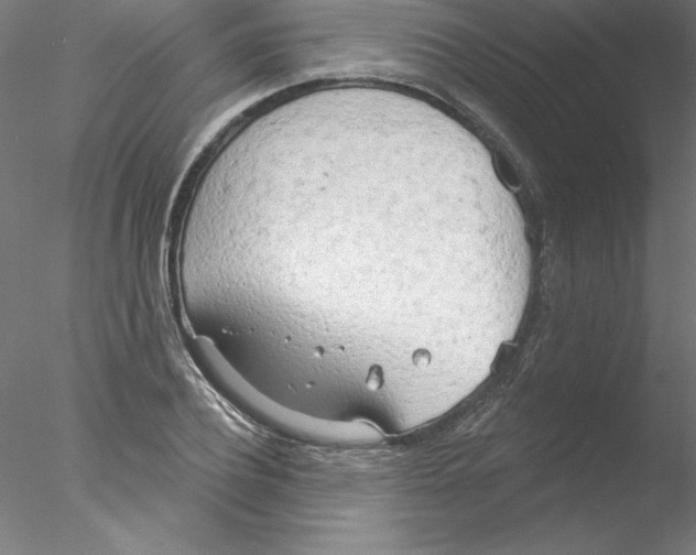 X0000076420932200611031810