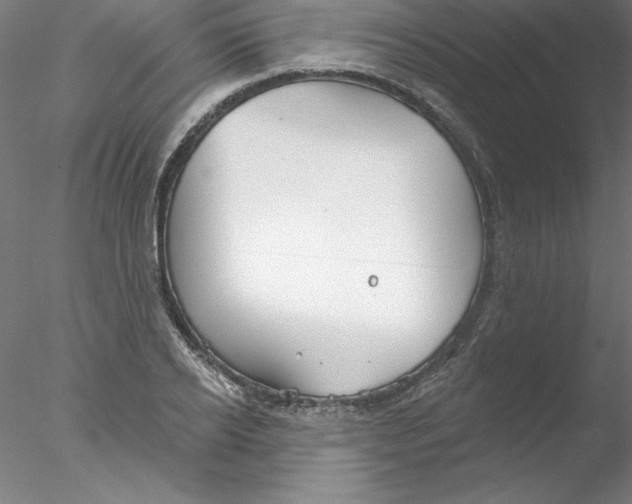 X0000076420934200611031810