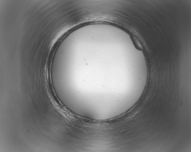 X0000076420936200611031810