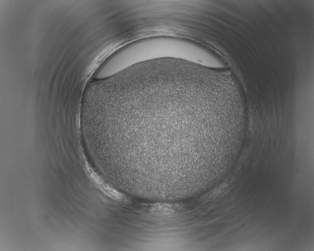 X0000076420938200611031810