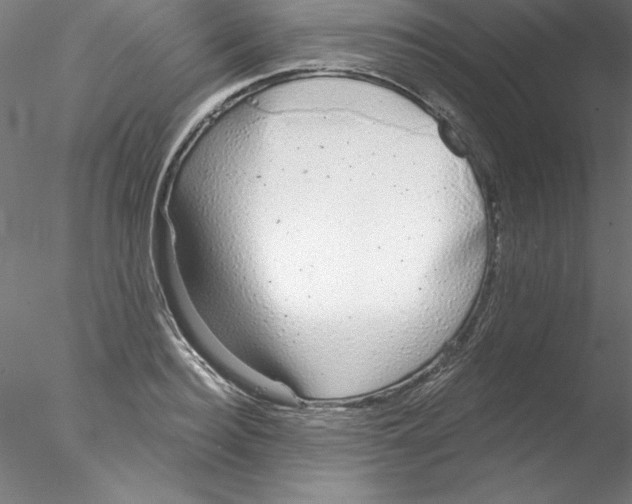 X0000076420940200611031810