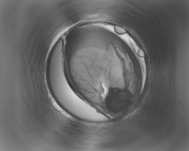 X0000076420941200611031810