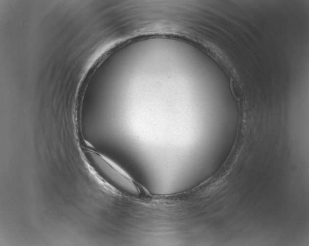 X0000076420942200611031810