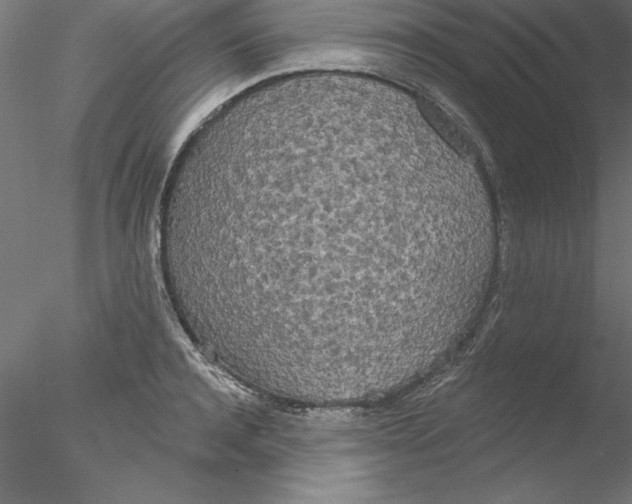 X0000076420944200611031810