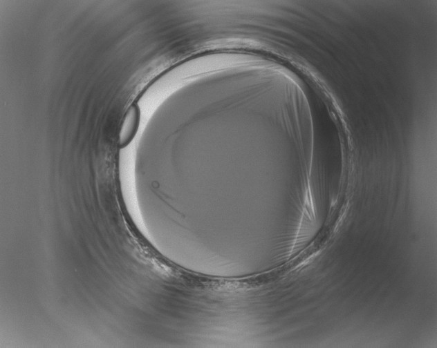 X0000076420945200611031810