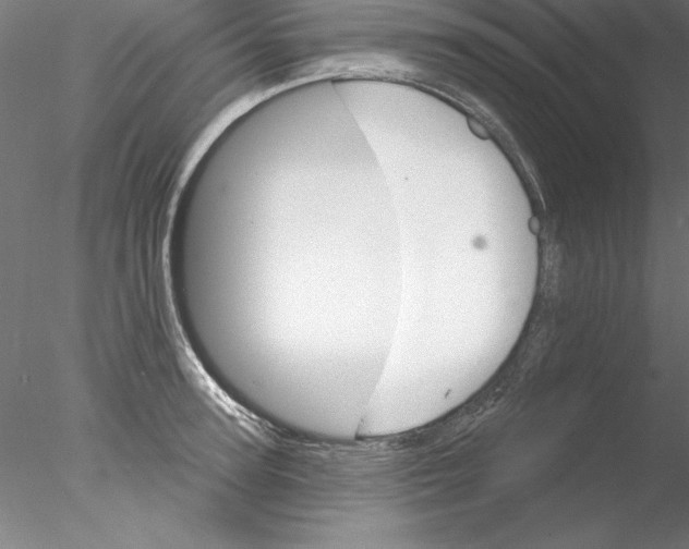 X0000076420947200611031810