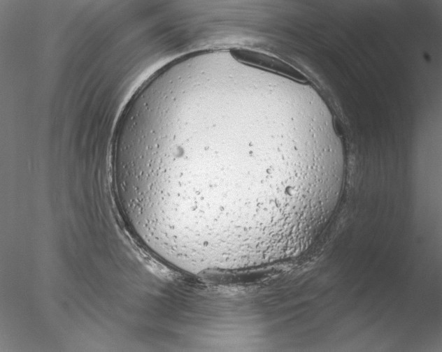 X0000076420948200611031810