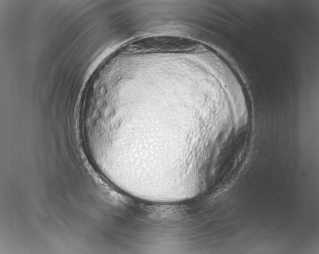 X0000076420949200611031810