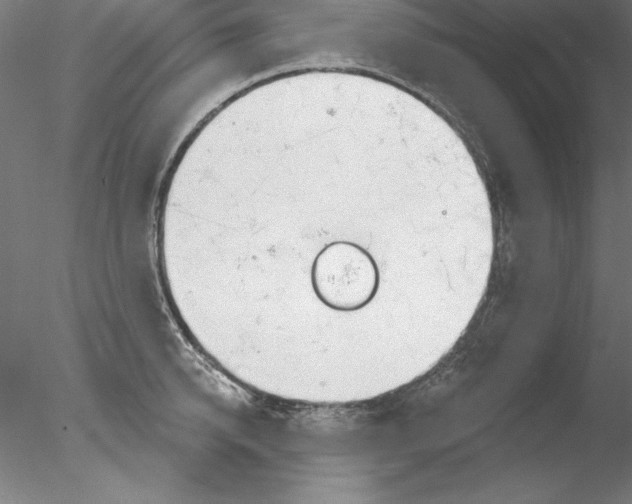 X0000076420950200611031810