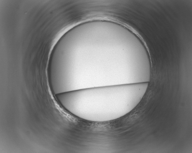 X0000076420951200611031810