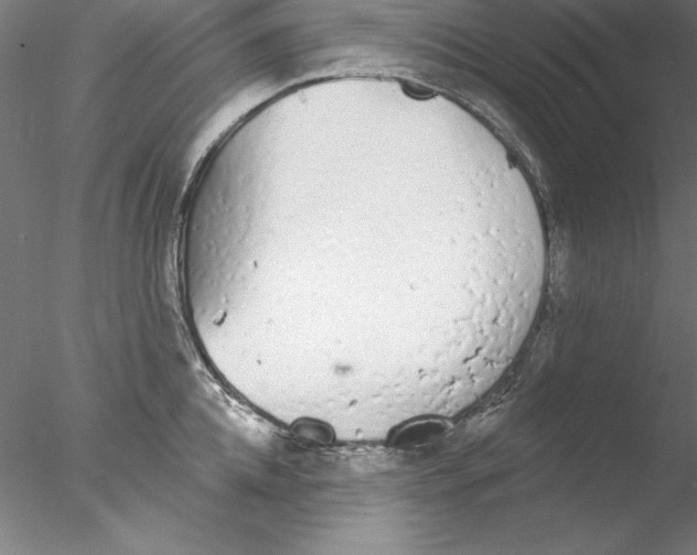 X0000076420952200611031810