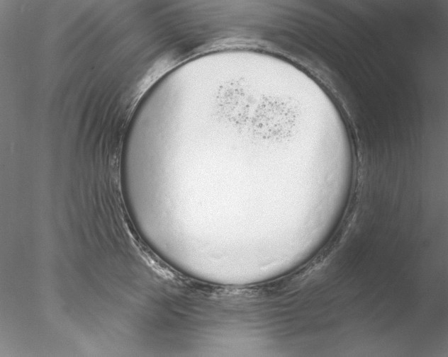 X0000076420953200611031810