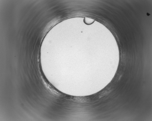 X0000076420954200611031810