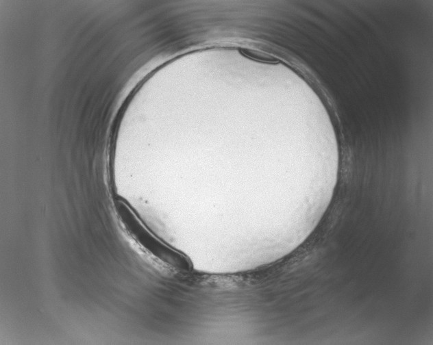 X0000076420955200611031810