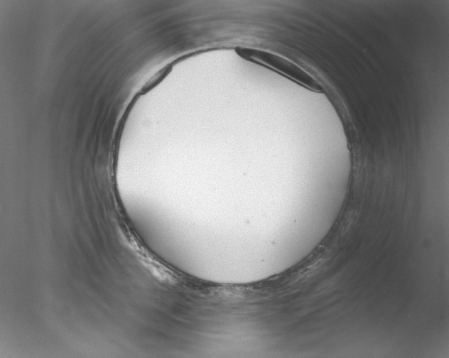 X0000076420956200611031810