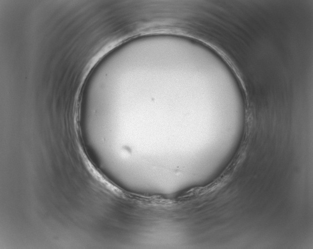 X0000076420957200611031810