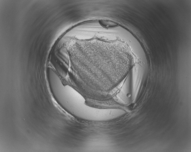 X0000076420958200611031810