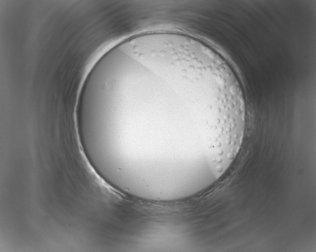 X0000076420959200611031810