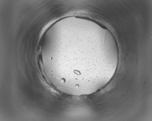 X0000076420960200611031810