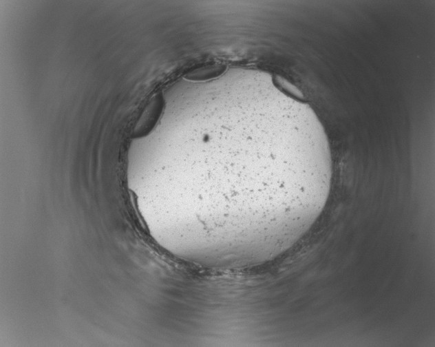 X0000076420961200611031809