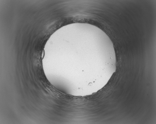 X0000076420964200611031809