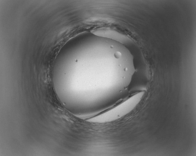 X0000076420965200611031809