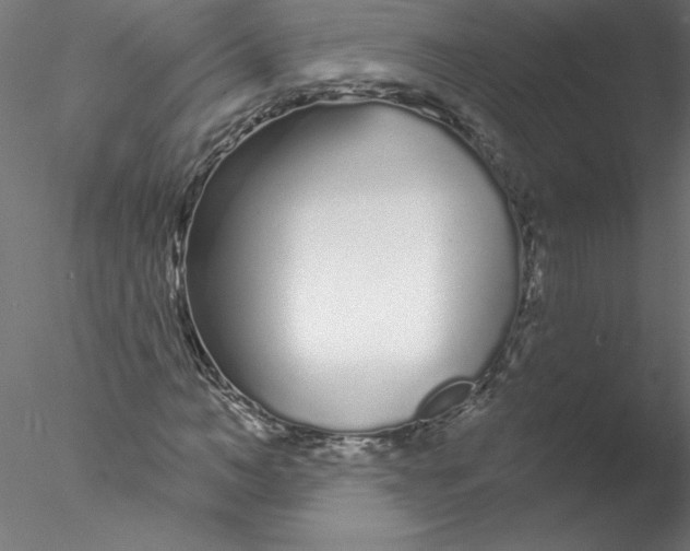 X0000076420966200611031809