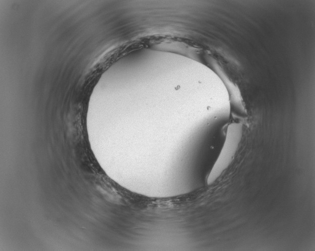 X0000076420968200611031809