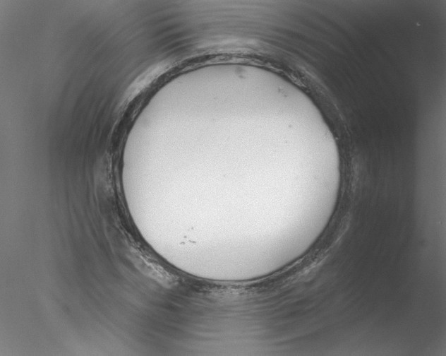 X0000076420970200611031809