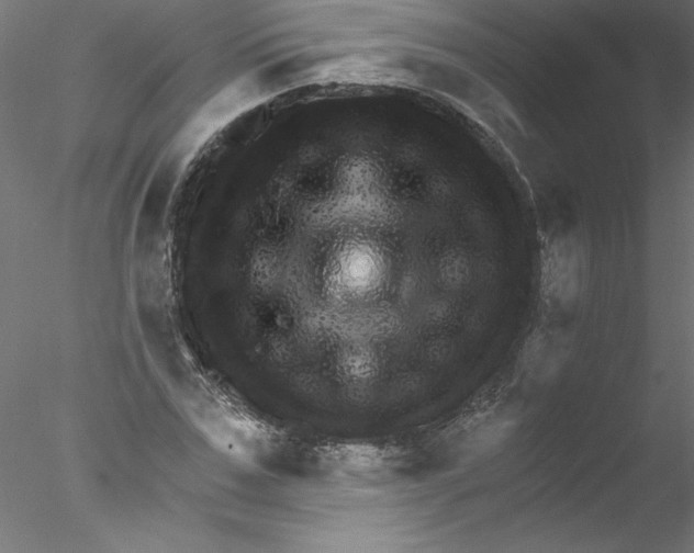 X0000076420971200611031809