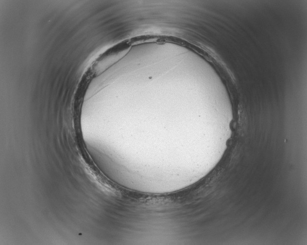 X0000076420972200611031809