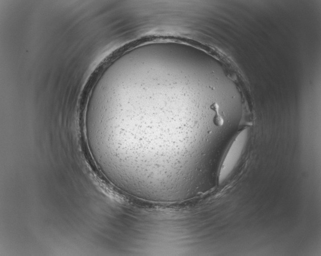 X0000076420976200611031809